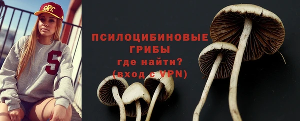 бошки Кулебаки