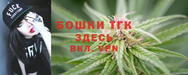 сатива Куйбышев