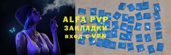 сатива Куйбышев