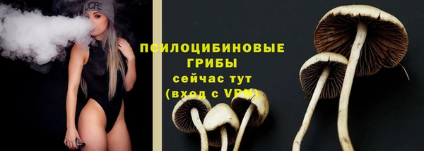 бошки Кулебаки