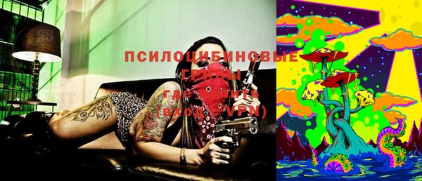 сатива Куйбышев
