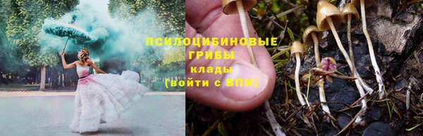 сатива Куйбышев