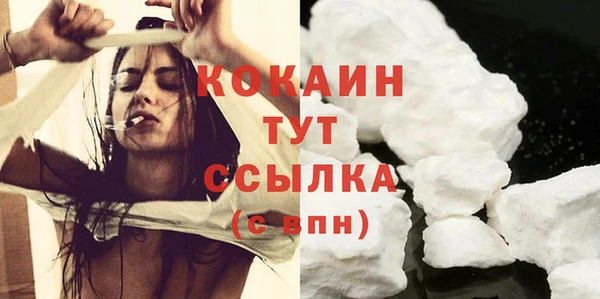 сатива Куйбышев