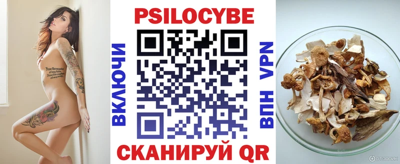 Галлюциногенные грибы Cubensis  Ярославль 