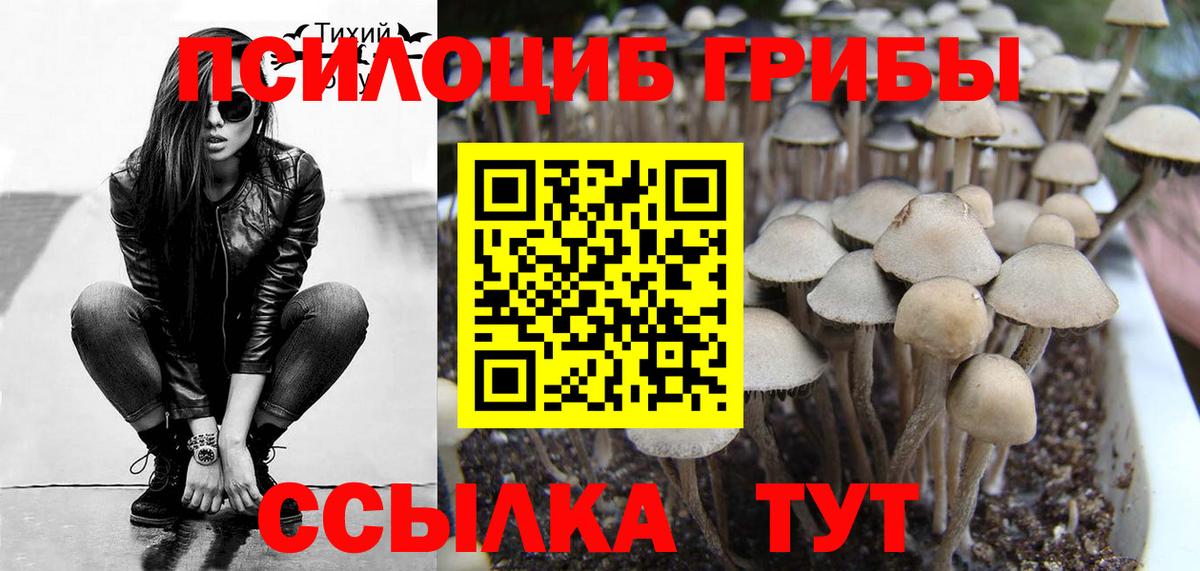Галлюциногенные грибы GOLDEN TEACHER  Вход с VPN  Псилоцибиновые грибы GOLDEN TEACHER  Ярославль 