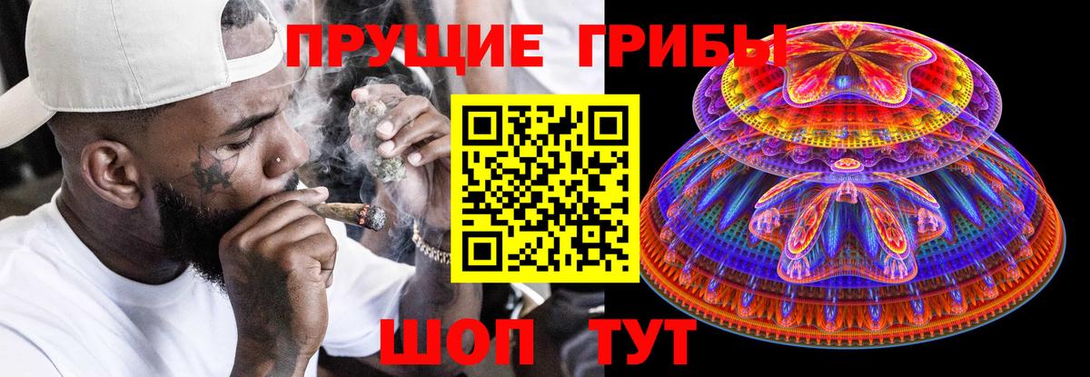 Галлюциногенные грибы Psilocybine cubensis Ярославль