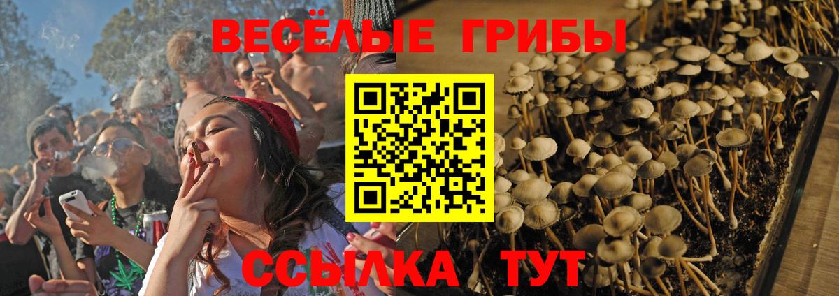 Галлюциногенные грибы GOLDEN TEACHER Ярославль